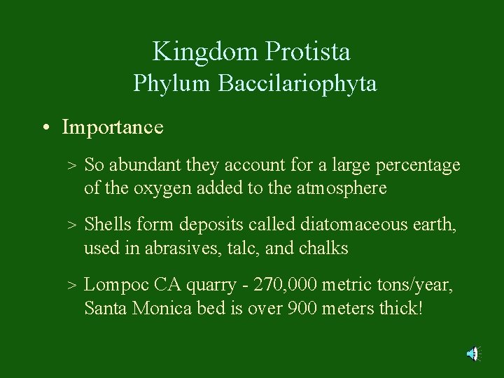 Kingdom Protista Phylum Baccilariophyta • Importance > So abundant they account for a large