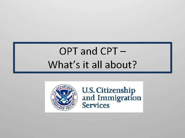 OPT and CPT – What’s it all about? 