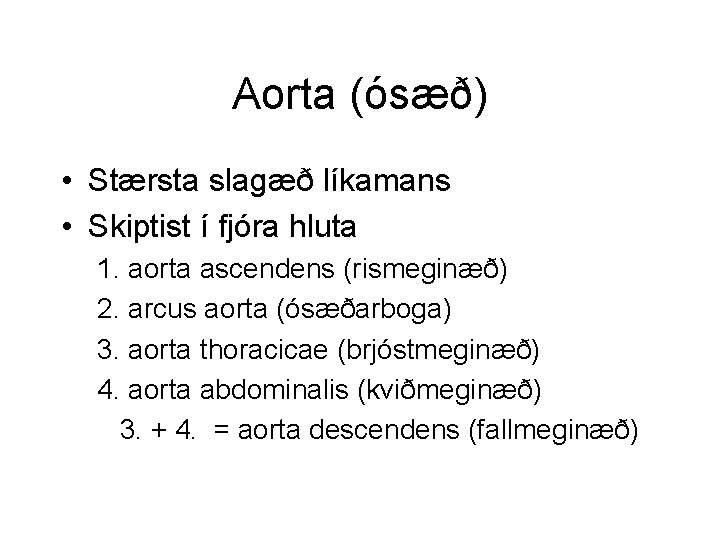 Aorta (ósæð) • Stærsta slagæð líkamans • Skiptist í fjóra hluta 1. aorta ascendens