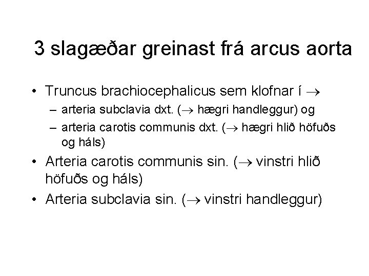 3 slagæðar greinast frá arcus aorta • Truncus brachiocephalicus sem klofnar í – arteria