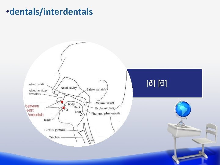  • dentals/interdentals [ð] [θ] 