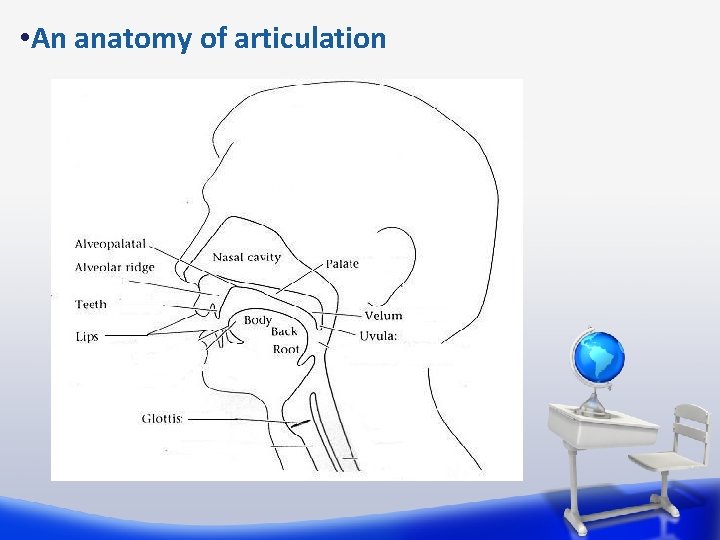  • An anatomy of articulation 