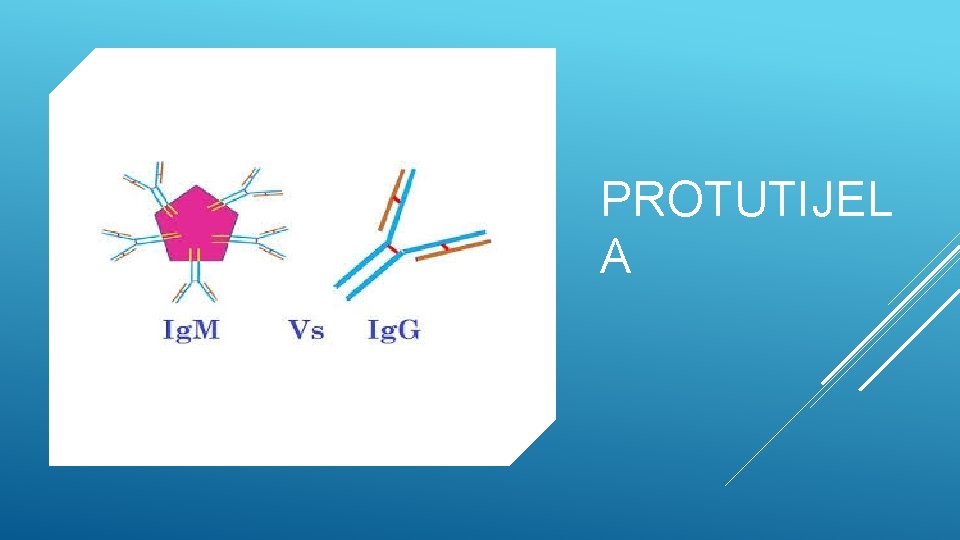 PROTUTIJEL A 