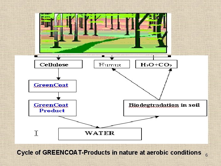 Cycle of GREENCOAT-Products in nature at aerobic conditions 6 