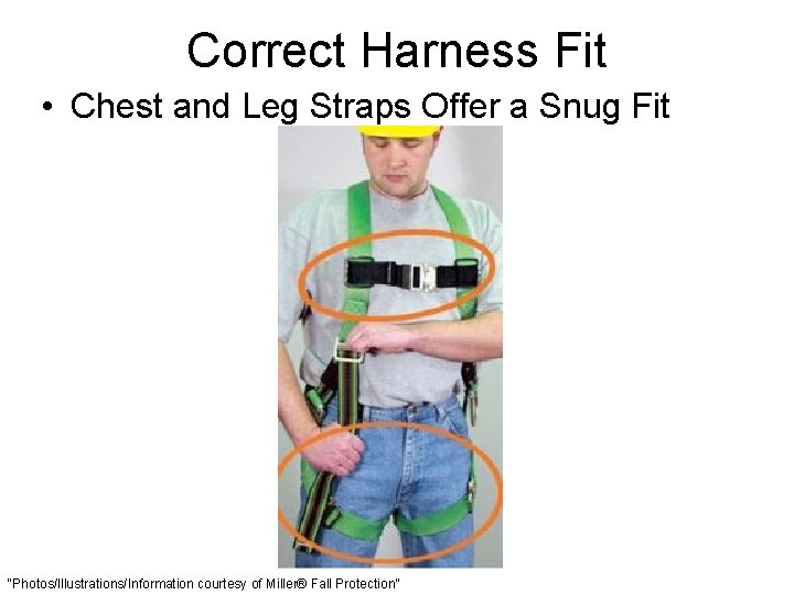 Correct Harness Fit • Chest and Leg Straps Offer a Snug Fit “Photos/Illustrations/Information courtesy