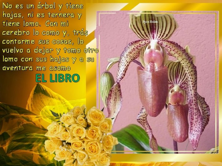 No es un árbol y tiene hojas, ni es ternera y tiene lomo. Con