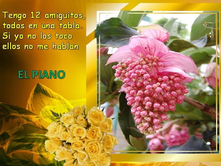 Tengo 12 amiguitos, todos en una tabla. Si yo no los toco ellos no