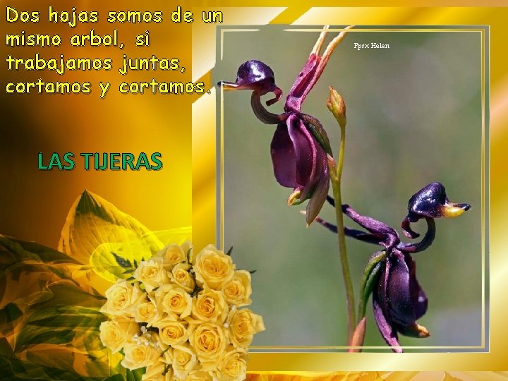 Dos hojas somos de un mismo arbol, si trabajamos juntas, cortamos y cortamos. LAS