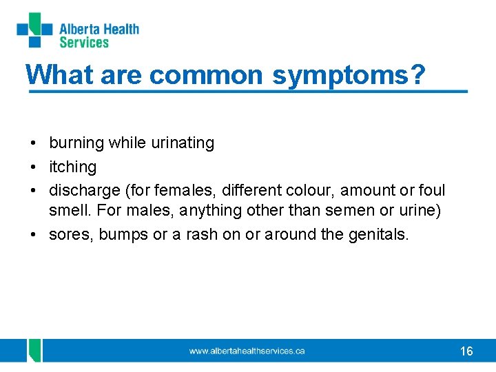 What are common symptoms? • burning while urinating • itching • discharge (for females, What are common symptoms? • burning while urinating • itching • discharge (for females,
