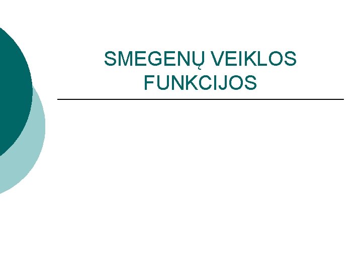 SMEGENŲ VEIKLOS FUNKCIJOS 