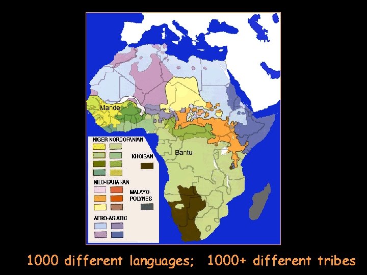 1000 different languages; 1000+ different tribes 