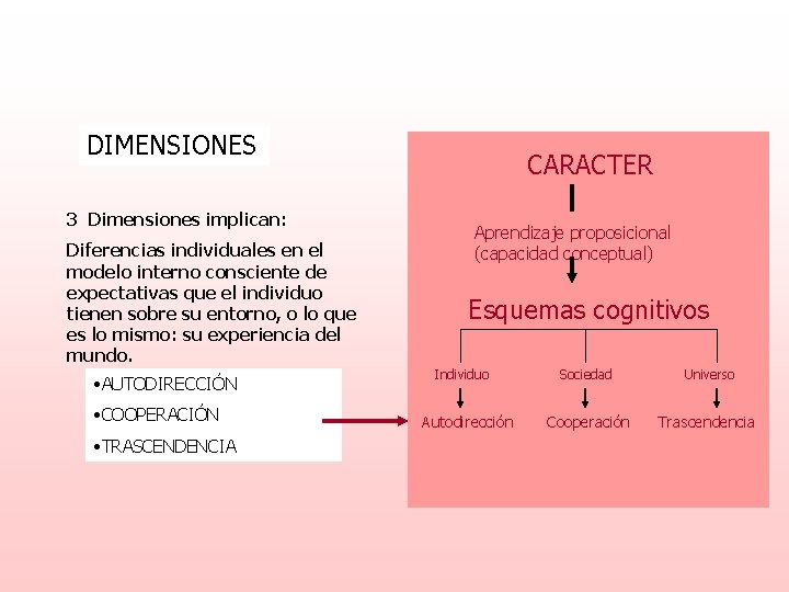 DIMENSIONES 3 Dimensiones implican: Diferencias individuales en el modelo interno consciente de expectativas que