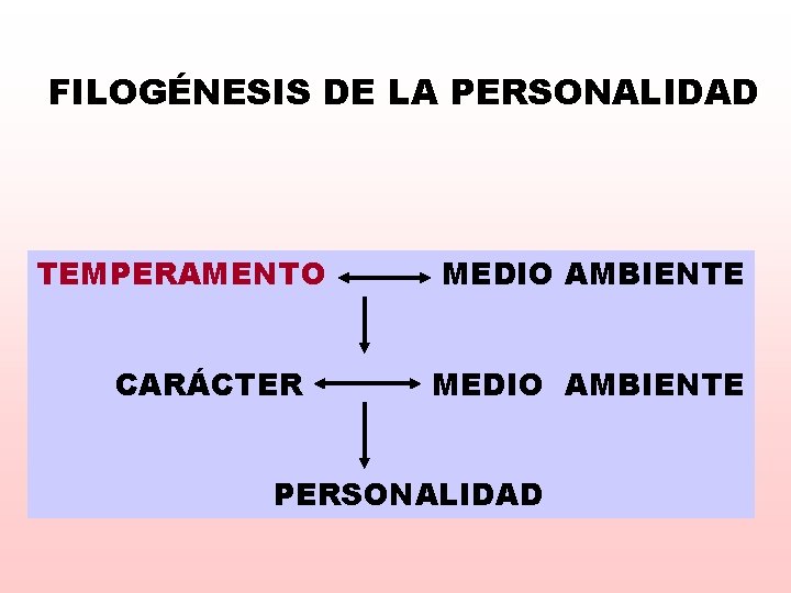 FILOGÉNESIS DE LA PERSONALIDAD TEMPERAMENTO CARÁCTER MEDIO AMBIENTE PERSONALIDAD 