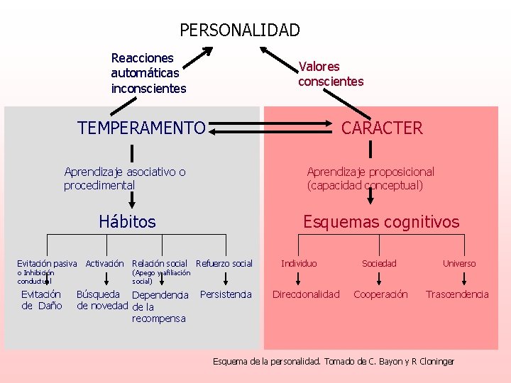 PERSONALIDAD Reacciones automáticas inconscientes Valores conscientes CARACTER TEMPERAMENTO Aprendizaje asociativo o procedimental Aprendizaje proposicional