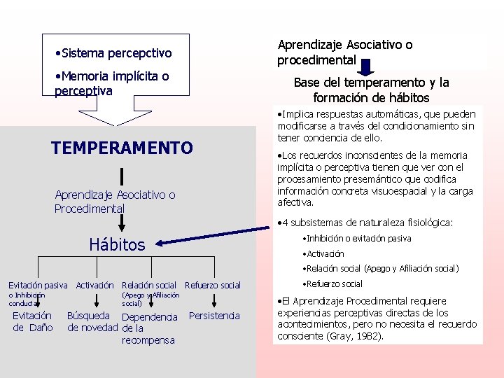 Aprendizaje Asociativo o procedimental • Sistema percepctivo • Memoria implícita o perceptiva Base del