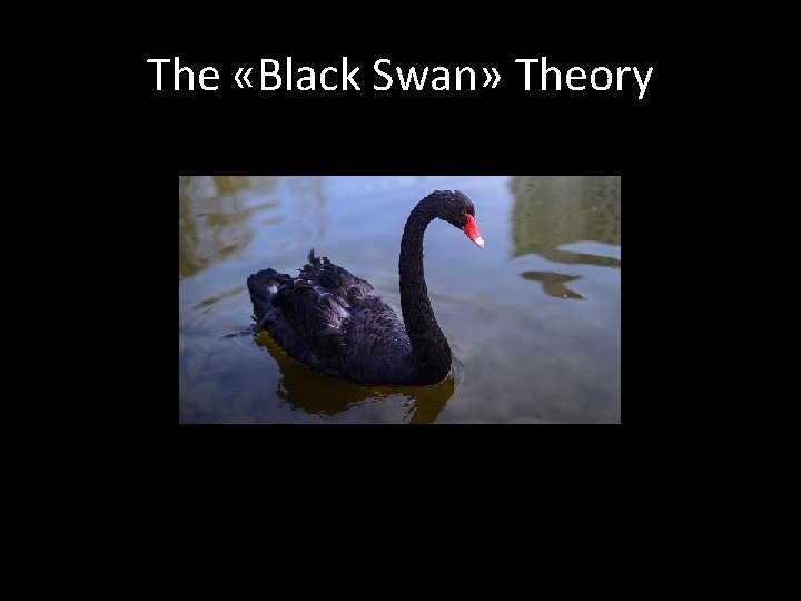 The «Black Swan» Theory 