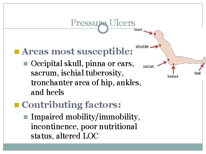 Pressure Ulcers n Areas n most susceptible: Occipital skull, pinna or ears, sacrum, ischial