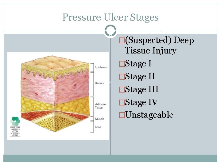 Pressure Ulcer Stages �(Suspected) Deep Tissue Injury �Stage III �Stage IV �Unstageable 