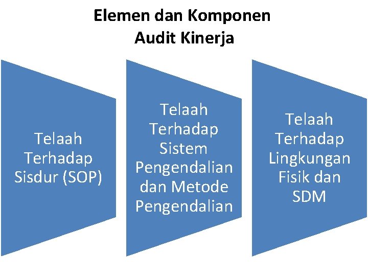 Elemen dan Komponen Audit Kinerja Telaah Terhadap Sisdur (SOP) Telaah Terhadap Sistem Pengendalian dan