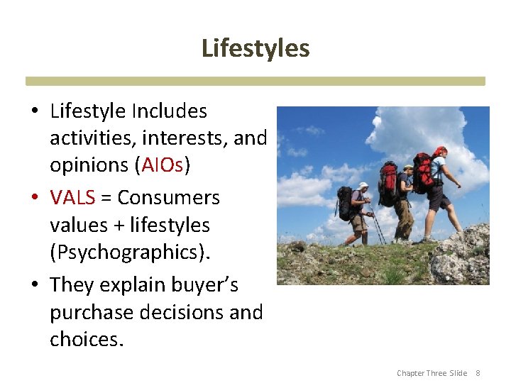 Lifestyles • Lifestyle Includes activities, interests, and opinions (AIOs) • VALS = Consumers values