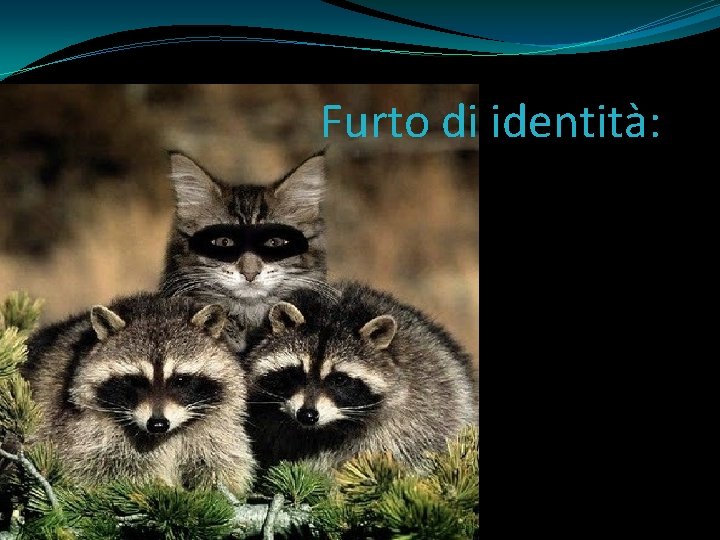 Furto di identità: 