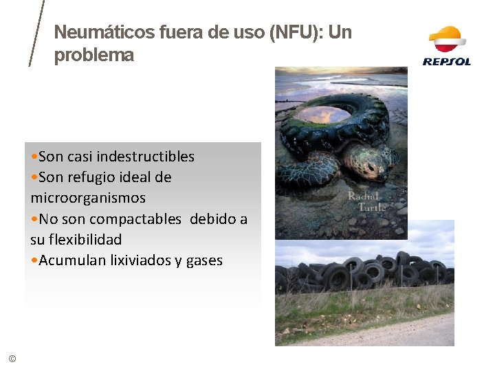 Neumáticos fuera de uso (NFU): Un problema • Son casi indestructibles • Son refugio