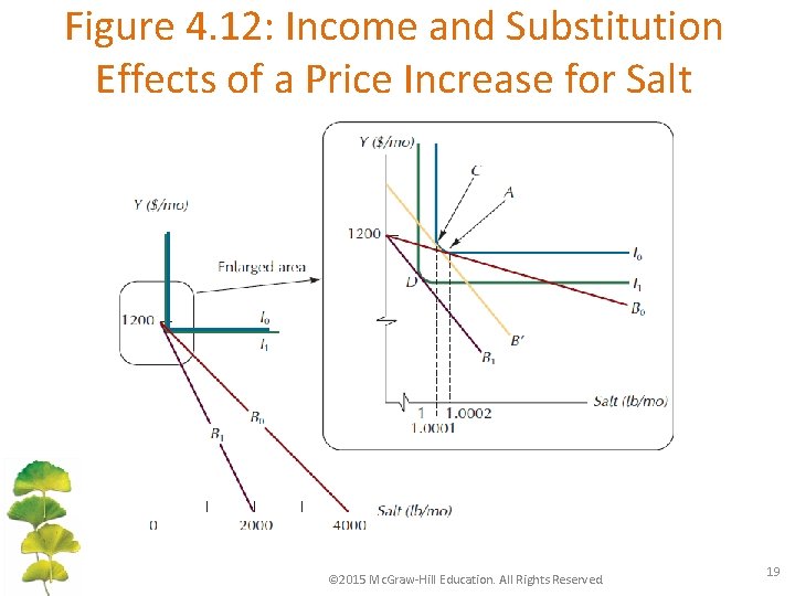 Figure 4. 12: Income and Substitution Effects of a Price Increase for Salt ©