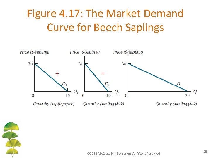 Figure 4. 17: The Market Demand Curve for Beech Saplings © 2015 Mc. Graw-Hill