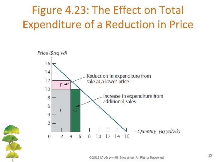 Figure 4. 23: The Effect on Total Expenditure of a Reduction in Price ©