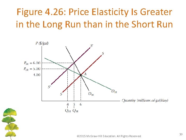 Figure 4. 26: Price Elasticity Is Greater in the Long Run than in the