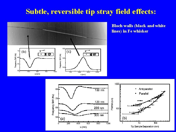 Subtle, reversible tip stray field effects: Bloch walls (black and white lines) in Fe