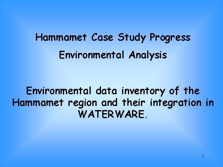 Hammamet Case Study Progress Environmental Analysis Environmental data inventory of the Hammamet region and
