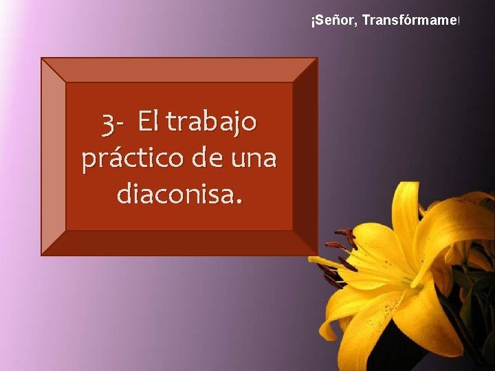 ¡Señor, Transfórmame! 3 - El trabajo práctico de una diaconisa. 