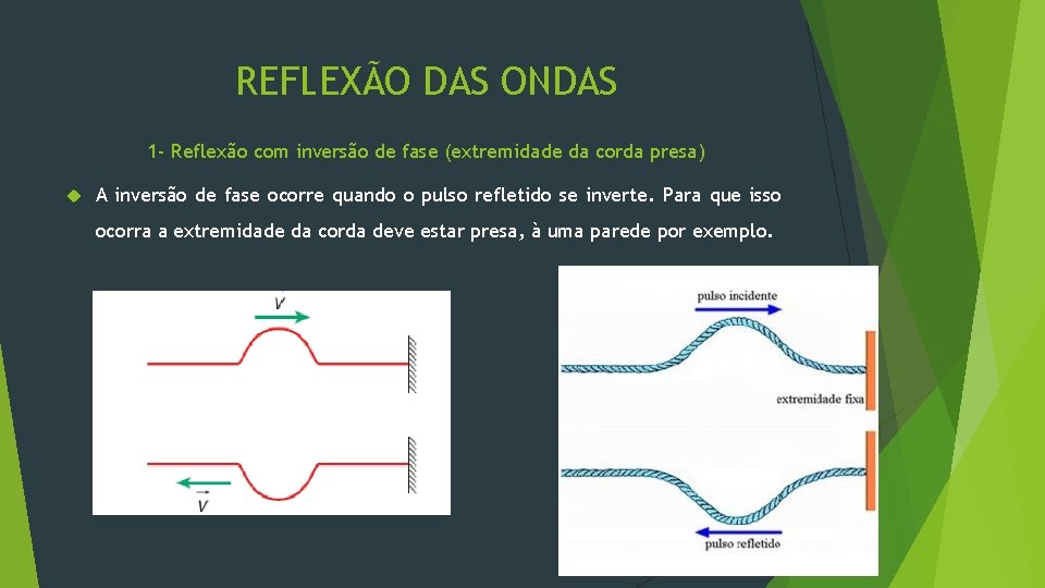 REFLEXÃO DAS ONDAS 1 - Reflexão com inversão de fase (extremidade da corda presa)