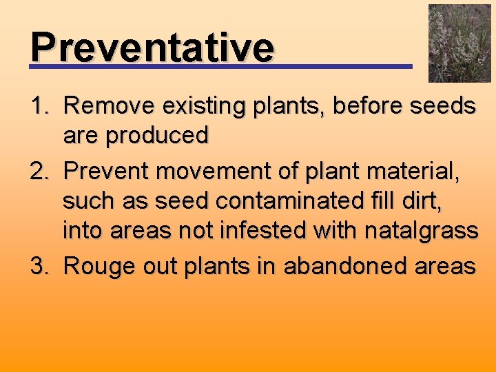 Preventative 1. Remove existing plants, before seeds are produced 2. Prevent movement of plant