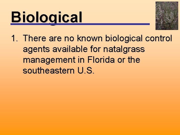 Biological 1. There are no known biological control agents available for natalgrass management in