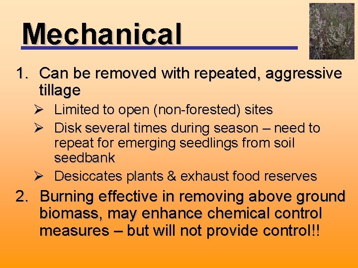 Mechanical 1. Can be removed with repeated, aggressive tillage Ø Limited to open (non-forested)