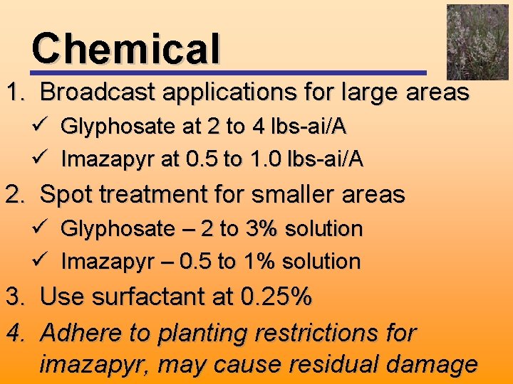 Chemical 1. Broadcast applications for large areas ü Glyphosate at 2 to 4 lbs-ai/A