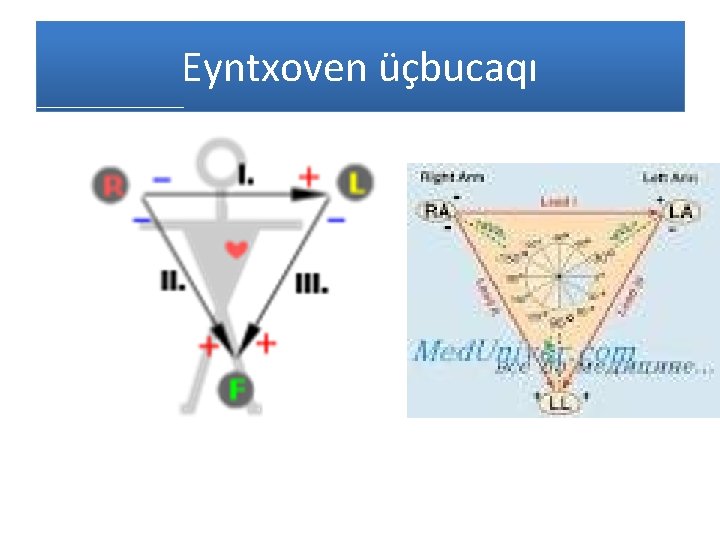 Eyntxoven üçbucaqı 