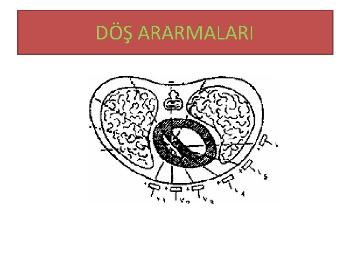 DÖŞ ARARMALARI 