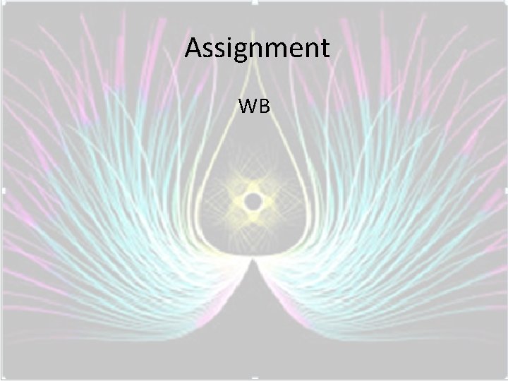  Assignment WB 