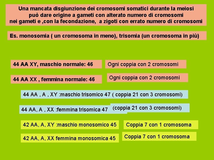 Una mancata disgiunzione dei cromosomi somatici durante la meiosi può dare origine a gameti