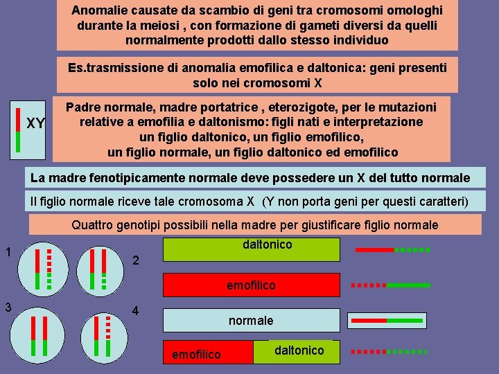 Anomalie causate da scambio di geni tra cromosomi omologhi durante la meiosi , con