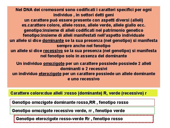 Nel DNA dei cromosomi sono codificati i caratteri specifici per ogni individuo , in
