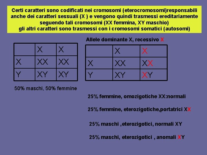 Certi caratteri sono codificati nei cromosomi (eterocromosomi)responsabili anche dei caratteri sessuali (X ) e