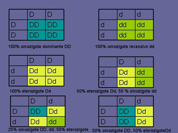 D D DD DD 100% omozigote dominante DD d D Dd d Dd Dd