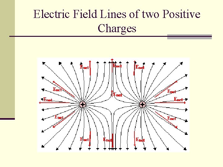 Electric Field Lines of two Positive Charges 