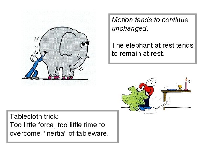 Motion tends to continue unchanged. The elephant at rest tends to remain at rest.