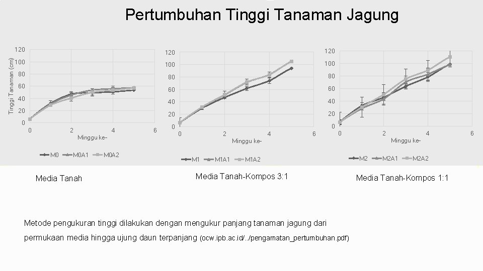 Tinggi Tanaman (cm) Pertumbuhan Tinggi Tanaman Jagung 120 120 100 100 80 80 60