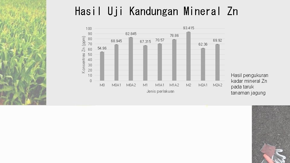 Konsentras Zn (ppm) Hasil Uji Kandungan Mineral Zn 100 90 80 70 60 50